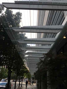 Evergreen House | Custom Glass Canopies
